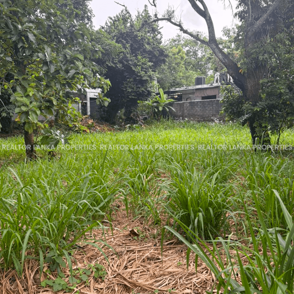 24.2 Perch Nawinna Maharagama Land For Sale